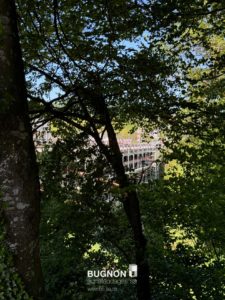 Vue depuis la forêt de Marsens sur le pont de Gérignoz