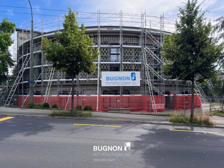L'Aula Magna avec ses échafaudages et ses arbres