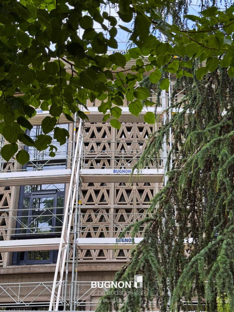L'Aula et ses échafaudages vue sur la fenêtre et de l'arbre
